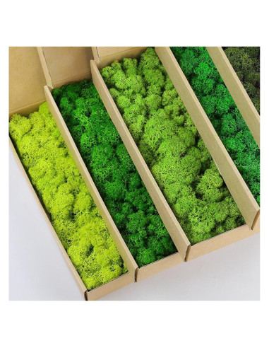 Kit de Musgo Preservado SZYD 5 Colores para Decoración 0.45 kg