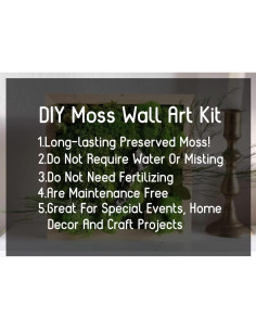 Kit de Musgo Preservado SZYD 5 Colores para Decoración 0.45 kg 2