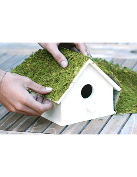 Alfombrilla de Musgo Instantáneo SuperMoss Verde 45.72x40.64 cm