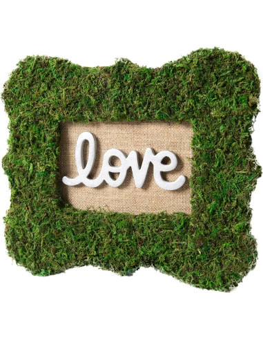 Alfombrilla de Musgo Instantáneo SuperMoss Verde 45.72x40.64 cm