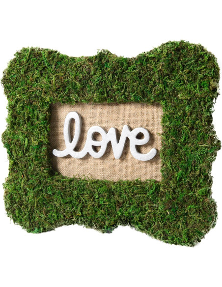 Alfombrilla de Musgo Instantáneo SuperMoss Verde 45.72x40.64 cm