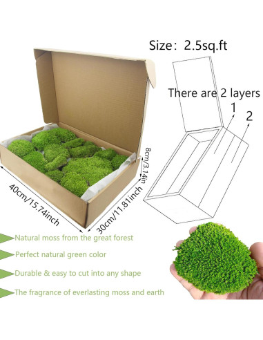 Almohada de Musgo Preservado FAICOIA Verde 2.5 m Sin Mantenimiento