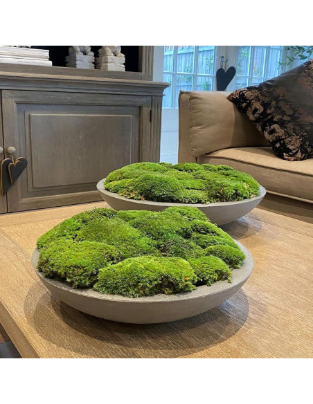 Almohada de Musgo Preservado FAICOIA Verde 2.5 m Sin Mantenimiento