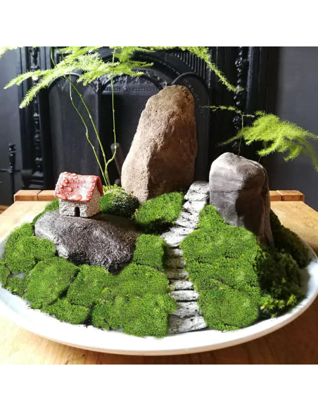 Almohada de Musgo Preservado FAICOIA Verde 2.5 m Sin Mantenimiento