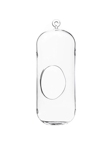 Terrario Colgante de Vidrio WGV 13" (33 cm) para Suculentas