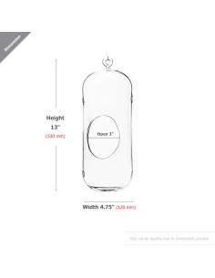 Terrario Colgante de Vidrio WGV 13" (33 cm) para Suculentas 2