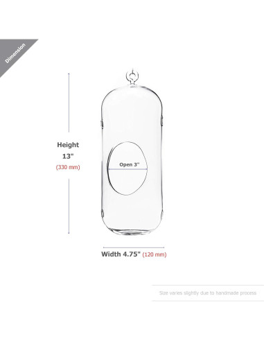 Terrario Colgante de Vidrio WGV 13" (33 cm) para Suculentas
