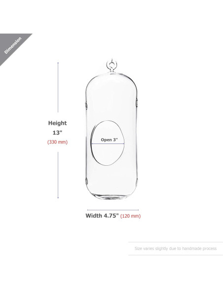 Terrario Colgante de Vidrio WGV 13" (33 cm) para Suculentas