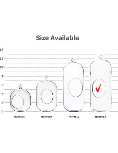 Terrario Colgante de Vidrio WGV 13" (33 cm) para Suculentas