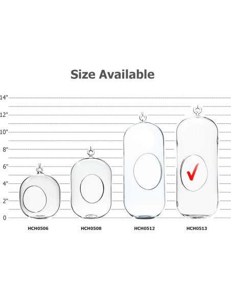 Terrario Colgante de Vidrio WGV 13" (33 cm) para Suculentas