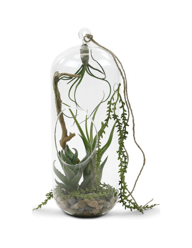 Terrario Colgante de Vidrio WGV 13" (33 cm) para Suculentas