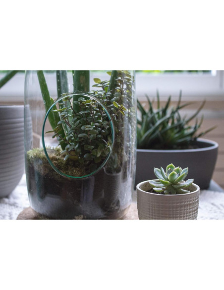 Terrario Colgante de Vidrio WGV 13" (33 cm) para Suculentas