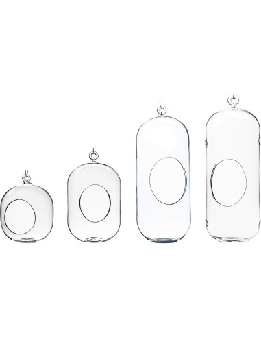 Terrario Colgante de Vidrio WGV 13" (33 cm) para Suculentas