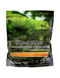 Musgo Real Galápagos 8QT para Terrarios Tropicales