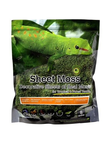 Musgo Real Galápagos 8QT para Terrarios Tropicales