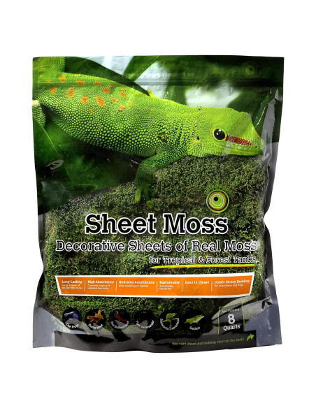 Musgo Real Galápagos 8QT para Terrarios Tropicales