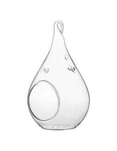 Terrario de Vidrio WGV en Forma de Gota 7.62x13.97 cm