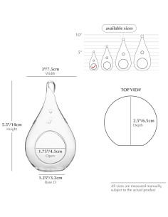 Terrario de Vidrio WGV en Forma de Gota 7.62x13.97 cm 2