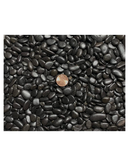 Piedras de Río Negras Pulidas 1.36 kg para Bonsái y Jardín Zen Piedras de Río Negras Pulidas 1.36 kg para Bonsái y Jardín Zen