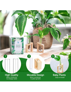 Estación de Propagación de Plantas Ivolador con Soporte de Madera 2