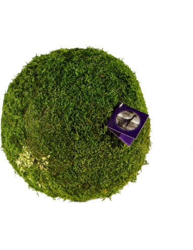 Bola de Musgo SuperMoss 6.35 cm Verde Fresco para Decoración
