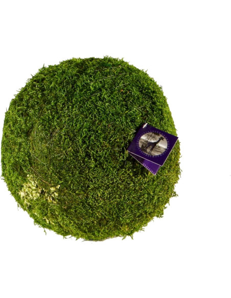 Bola de Musgo SuperMoss 6.35 cm Verde Fresco para Decoración
