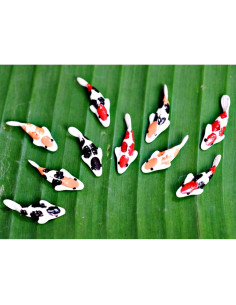10 Figuras de Peces Koi de Arcilla para Jardín Decorativo 2