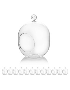 Terrario de Vidrio Colgante WGV 12.7x15.24 cm para Suculentas