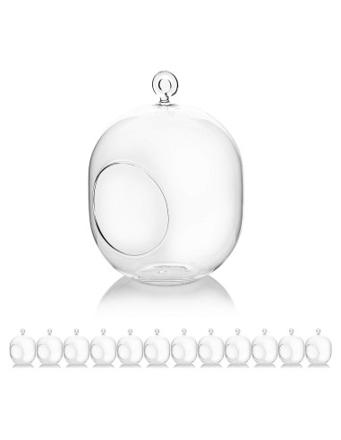 Terrario de Vidrio Colgante WGV 12.7x15.24 cm para Suculentas