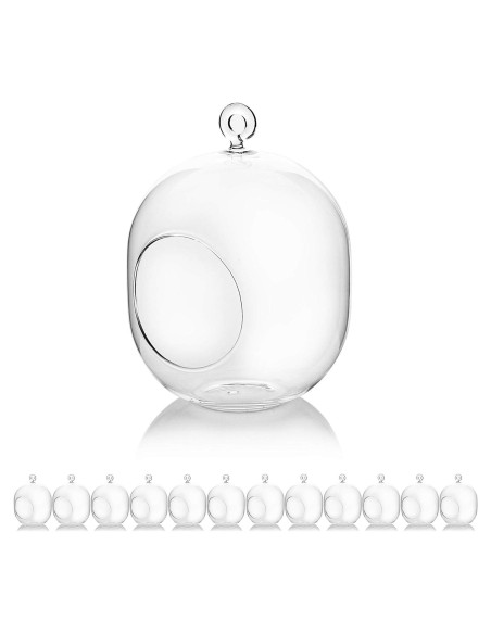 Terrario de Vidrio Colgante WGV 12.7x15.24 cm para Suculentas