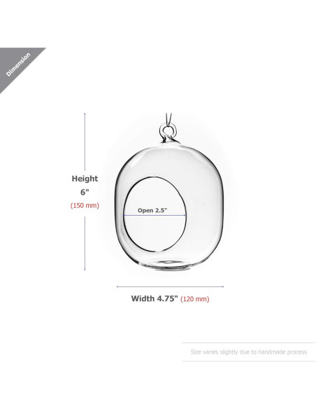 Terrario de Vidrio Colgante WGV 12.7x15.24 cm para Suculentas
