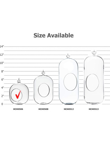Terrario de Vidrio Colgante WGV 12.7x15.24 cm para Suculentas