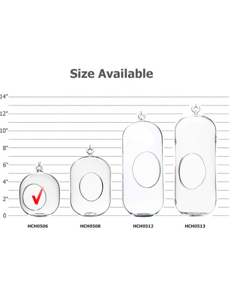 Terrario de Vidrio Colgante WGV 12.7x15.24 cm para Suculentas