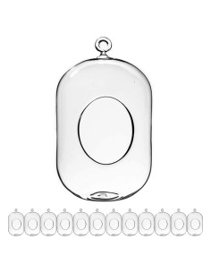 Terrario Colgante de Vidrio WGV 12.7x20.32 cm para Suculentas