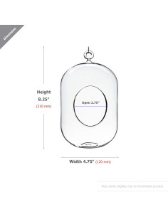 Terrario Colgante de Vidrio WGV 12.7x20.32 cm para Suculentas 2