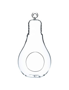 Terrario Colgante de Vidrio WGV 8.9x17.8 cm para Suculentas