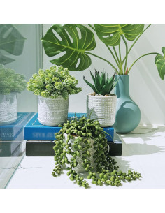 Juego de 3 Suculentas Artificiales Winlyn en Macetas de Concreto 2