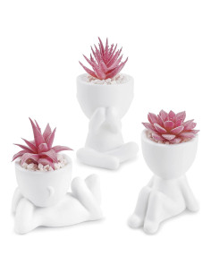 Plantas Suculentas Falsas Der Rose 3 Pcs Decoración Rosa