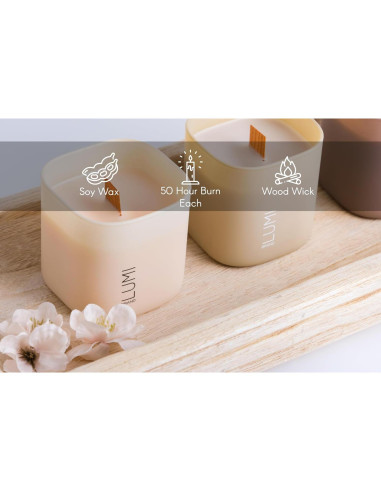 Juego de 3 Velas Aromáticas de Soja Lumi - Gardenia, Hilton Garden y Rosa & Oud - 50 Horas Quema Limpia