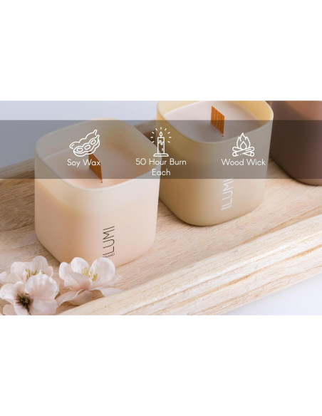 Juego de 3 Velas Aromáticas de Soja Lumi - Gardenia, Hilton Garden y Rosa & Oud - 50 Horas Quema Limpia