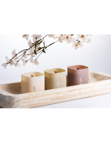 Juego de 3 Velas Aromáticas de Soja Lumi - Gardenia, Hilton Garden y Rosa & Oud - 50 Horas Quema Limpia