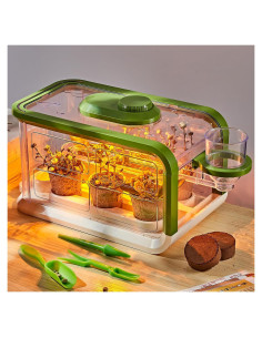 Kit de Crecimiento de Plantas para Niños Mostop con Riego y Luz