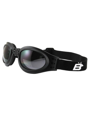 Gafas de Motocicleta Birdz Eyewear Loro con Lente Ahumado