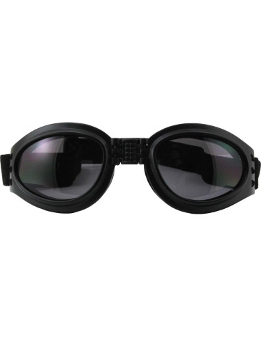 Gafas de Motocicleta Birdz Eyewear Loro con Lente Ahumado
