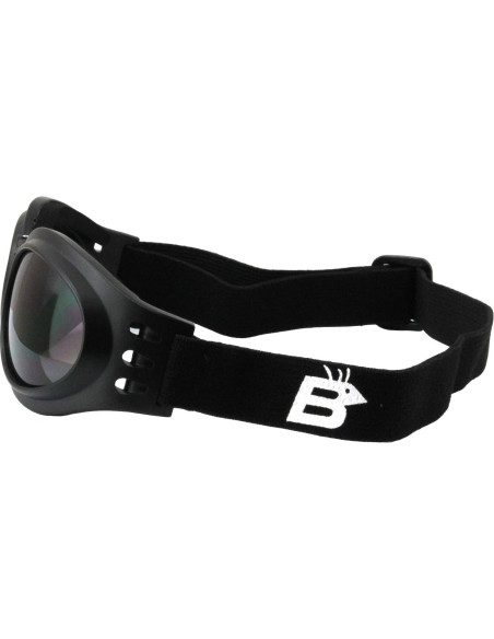 Gafas de Motocicleta Birdz Eyewear Loro con Lente Ahumado