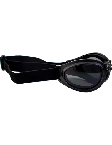 Gafas de Motocicleta Birdz Eyewear Loro con Lente Ahumado