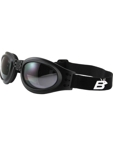 Gafas de Motocicleta Birdz Eyewear Loro con Lente Ahumado