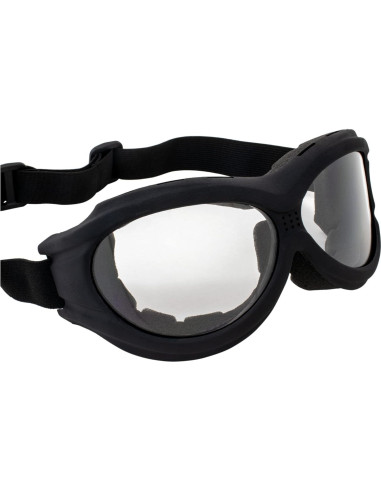 Gafas de Motocicleta Acolchadas Birdz Buitre - Lentes Claras