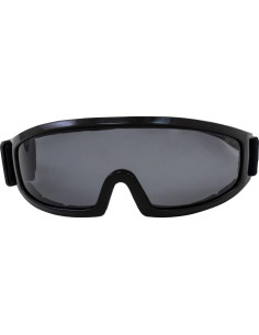 Gafas de Protección Birdz Robin para Motociclismo y Deportes 2