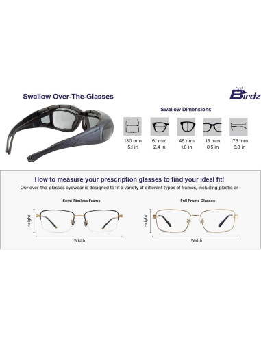 Gafas de Motocicleta Birdz Swallow con Almohadillas de Espuma